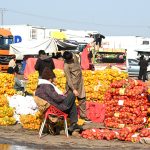 Vendors displaying seasonal fruit oranges to attract customers at Fruit and Vegetable Market