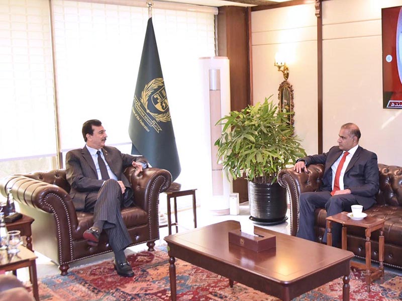 Acting President Syed Yousuf Raza Gilani in a meeting with newly elected Senator Abid Sher Ali at the Parliament House in the federal capital