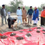 Labourers are busy in excavation work under the supervision of American archaeologist Prof. Dr. Jonathan Mark Kenoyer at the world-famous archaeological site of Mohenjo-daro